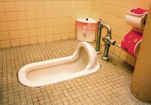 Japanese Style toilet